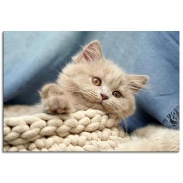 Imagem de 093 Impressão em tela britânica pôster de gatinho doméstico arte de parede para casa 1 peça decorações não ramificadas 30,5 x 20,3 cm