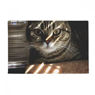 Imagem de DIYthinker Tapete antiderrapante para porta de banheiro com fotografia de raio de gato