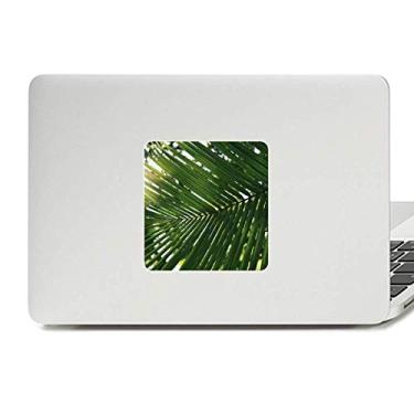 Imagem de Adesivo de vinil para laptop com imagem de planta da folha do sol decoração de policarbonato