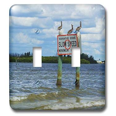 Imagem de 3dRose Lsp_44850_2 3 Pelicans on Manatee Sign Light Switch Cover