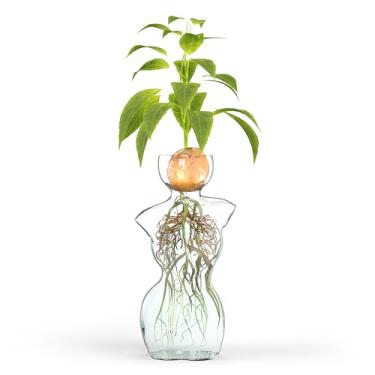 Imagem de Vaso de vidro para propagação de flores ou plantas em de corpo feminino - ideal para raízes de água bulbos de plantas sementes - decoração artística de silhueta clara para casa e