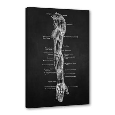 Imagem de Fundo preto anatomia humana arte médica impressões em tela imagens esqueleto músculo pôster vintage educação pintura arte decoração de parede (SKU4,30.5x40.6 cm = (30x40cm), emoldurado (tela embalada