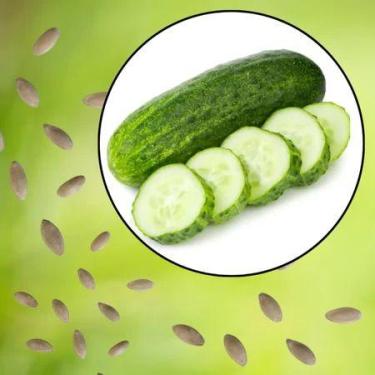 Imagem de Sementes S80 Pepino Caipira O Frescor da Roça na Sua Casa Volte às Raí