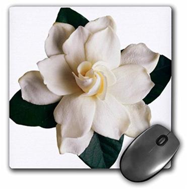 Imagem de 3dRose Mouse pad LLC 20 x 20 x 0,63 cm, Gardenia (mp_16811_1)