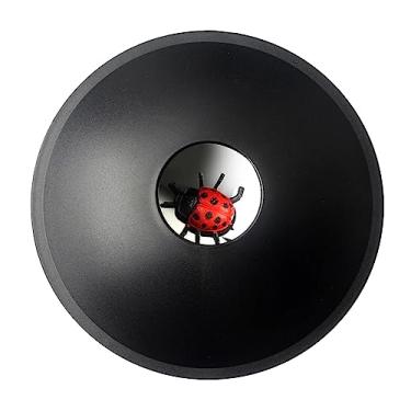 Imagem de harayaa Projeção ótica Ilusão visual Imagem Ciência Educação Aprendizagem precoce para crianças Adultos Brinquedo com 3D Brinquedo engraçado Brinquedo, joaninha