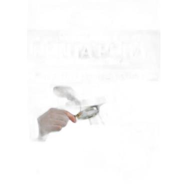 Imagem de Apostila Ponta Porã-Ms - 2019 - Assistente Administrativo I - Editora 