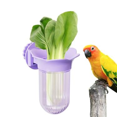 Imagem de Tigelas de pássaros para gaiola, copo de alimentação de pássaros – Recipiente de água e comida com alimentador de grampo para arara, conure, tentilhões, periquitas, calopsitas, animais pequenos