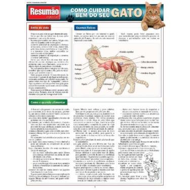 Imagem de Resumao Especial - Como Cuidar Bem Do Seu Gato, 3