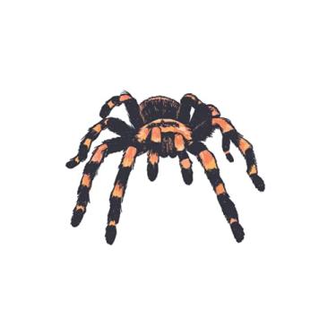 Imagem de Tarantula Notebook: Tarantula Terrarium Spider Web / 6x9 inches / 120 graph sites