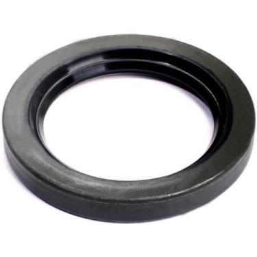 Imagem de Retentor do cubo de roda Traseiro Ford F 1000 1979 a 1998 - SABÓ