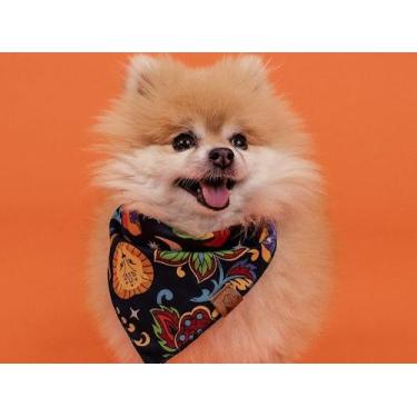 Imagem de Bandana para Pet - Zodíaco - BenDog, PP