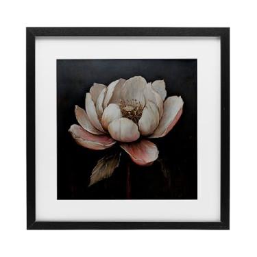 Imagem de Stupell Industries Impressão emoldurada preta de flor de lótus vintage design sob vidro por LSR Creative Studio, 40,6 x 40,6 cm