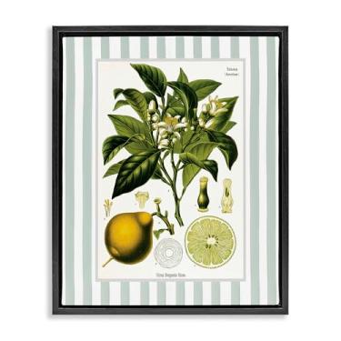 Imagem de Stupell Industries Desenho de arte de parede em tela flutuante preta com listras verdes de planta de limão por Lettered and Lined, 53 x 43 cm