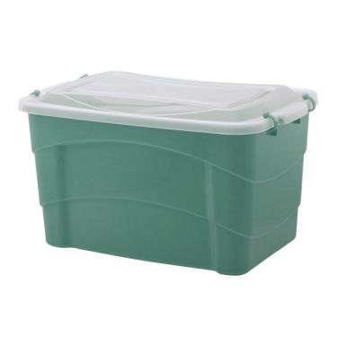 Imagem de Caixa Organizador Pratic Box C Tampa 20 L 41 X 29 X 25 Verde