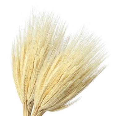 Imagem de Kit C/ 2 Maços De Trigo Seco Natural Para Decoração Arranjos - Pense F