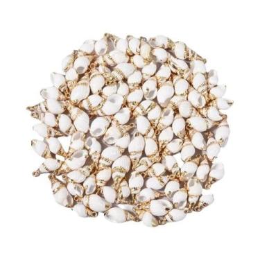 Imagem de Pingentes De Conchas Perfuradas Coloridas Em Espiral, 5 Peças, Suprime