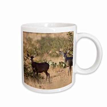 Imagem de 3dRose Caneca Mule Deer buck in Desert mountain habitat-US44 LDI0995-Larry Ditto, 440 ml, cerâmica