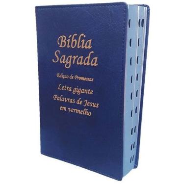 Imagem de Bíblia Sagrada de Tamanho Grande 21cm e capa de Couro Azul - Espaço Cr