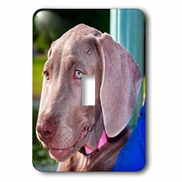 Imagem de 3dRose Interruptor de botão único para retrato de filhote de cachorro Weimaraner lsp_206583_1