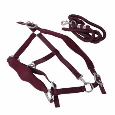 Imagem de Halter de Treinamento de Cavalos, Guidão de Cavalos, Confortável e Seguro, Ajustável, Evita a Raspagem para Uso Diário (S)