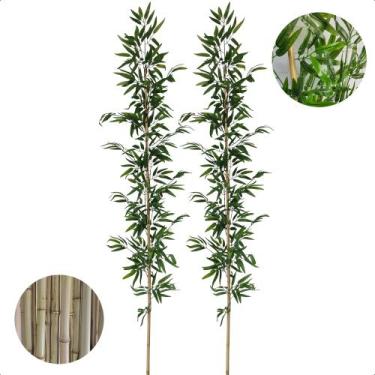 Imagem de Kit 2 Hastes de Bambu da Sorte Mosso 2 Metros Decorativo - Flor de Men