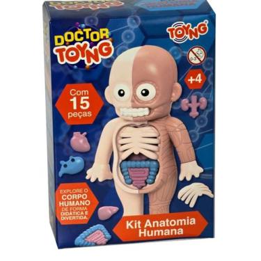 Imagem de Brinquedo Kit Anatomia Humana Conhecendo Corpo Humano 15 Pçs - Toyng