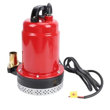 Imagem de Luocute Bomba de Poço Profundo de Aço Inoxidável de 180 W 8 M, Bombas de água DC Submersíveis de 26 Pés, Diâmetro de Saída de 1 pol., Bombeamento de água de Poço Profundo Submersível