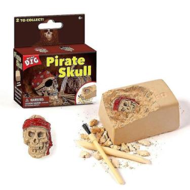 Imagem de Kit científico de arqueologia de caveira de pirata e biologia para cri