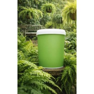 Imagem de Adubo Samambaias: Folhas Verdes e Vibrantes 400g - Congratulations Sto