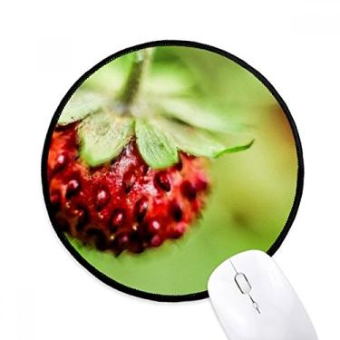 Imagem de Tapete de mouse para mesa de escritório com foto de natureza Fresh Berry para fotografia de natureza tapete redondo para computador