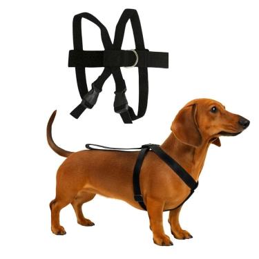 Imagem de Cinto De Segurança Pet Cachorro Cão Gato Médio Preto