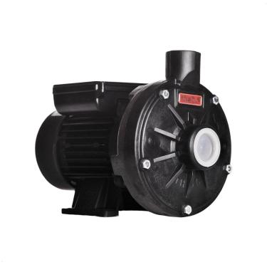 Imagem de Bomba Monoestágio Th-16 P 3/4 Cv Rotor 125cm Monofásico Motor Thebe Ip55 127/220-254v