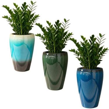 Imagem de Vaso De Plantas Resina Grande Vietnamita Para Decoração - Castela - CA