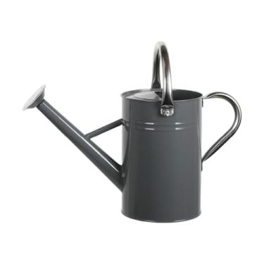 Imagem de Gralara Regador de plantas, pulverizador fino, grande, cabo de aço inoxidável, construção resistente, decoração à prova de vazamentos, 5L, Cinza