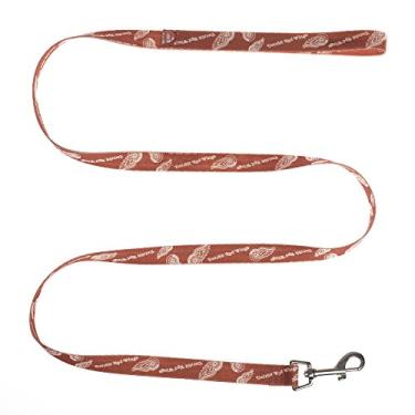 Imagem de Littlearth Coleira unissex para animais de estimação NHL Detroit Red Wings, cor do time, 1,9 cm x 152,4 cm