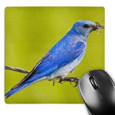 Imagem de 3dRose Mouse pad LLC 20,3 x 20,3 x 0,63 cm, British Columbia, Mountain Bluebird com lagartas-Cn02 Ldi0047 - Larry Ditto (mp_70565_1)