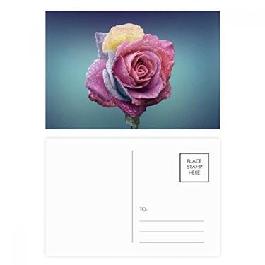 Imagem de Conjunto de cartões postais de aniversário com rosas escuras, rosa escuro, cartão de agradecimento