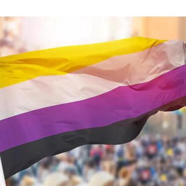 Imagem de Bandeira Gênero Não Binário 1,50x0,90mt Lgbtqi+ Ano novo - WCAN