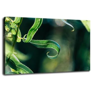 Imagem de Pôster de 26 folhas impressões em tela verde arte de parede planta para casa 1 painéis decorações com moldura 45,72 cm x 30,48 cm