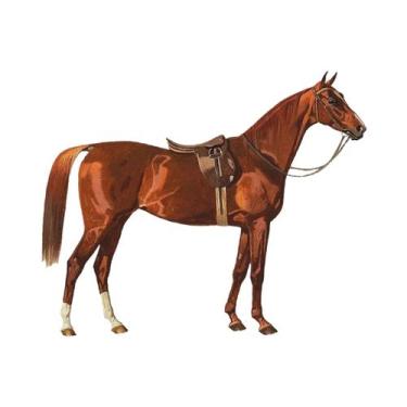 Imagem de Pôster De Arte Vintage De Cavalo Montado Em Sela, Decoração De Parede 