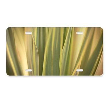 Imagem de DIYthinker Placa de licença para decoração de folhas de plantas, imagem natural, placa de automóvel, etiqueta de aço inoxidável