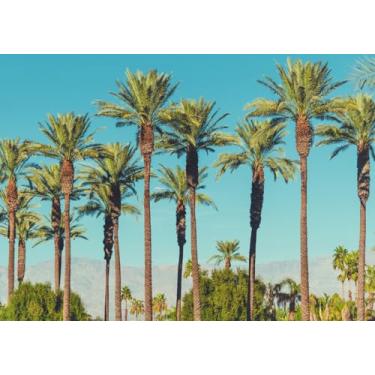 Imagem de Loccor Tecido de 2,1 x 1,5 m Palmeiras California Valley Palmeiras de Coachella Valley Mountains Céu Azul Vista Tropical Fundo Decorações de Festa Foto Booth Studio Adereços