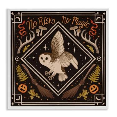 Imagem de Stupell Industries No Risks or Magic Owl Design de arte giclée emoldurado branco por Janelle Penner, 61 x 61 cm