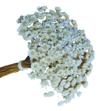 Imagem de 200 Flores Secas Sempre Viva Branca – Flor Artificial para Decoração, Arranjo de Mesa e Buquê Decorativo