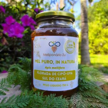 Imagem de Mel Puro Florada de Cipó-Uva In Natura 100% Natural Cru Sem Aqueciment