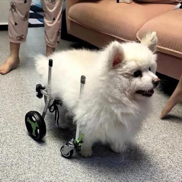 Imagem de Roda De Cão De 4 Rodas Para Suporte Total De Perna, Carrinho De Reabilitação Ajustável Para Animal De Estimação Grande Médio Pequeno, Rodas De Exercício Para Cães Co, Size M