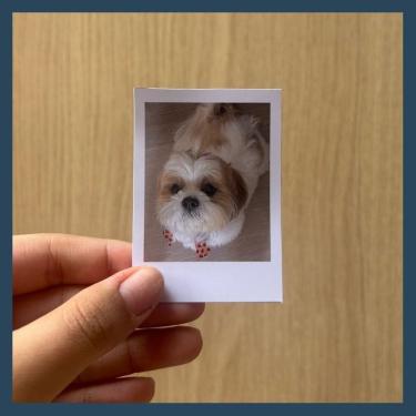 Imagem de Fotos polaroid personalizadas/10 unidades/Tamanho P(5,3x7,5)/Alta resolução/Preto e branco ou tradicional