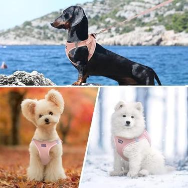Imagem de Peitoral antipuxão para animais de estimação – Coleira auxiliar de viagem ajustável ao ar livre, colete respirável com coleira para animais de estimação pequenos e médios, tamanho P