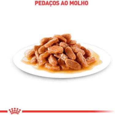 Imagem de Ração Úmida Royal Canin Renal Para Gatos Adultos 85g