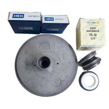 Imagem de Rotor Compatível Jacuzzi 1/3 cv + Selo E Rolamentos 6201 6203 - DSANTI